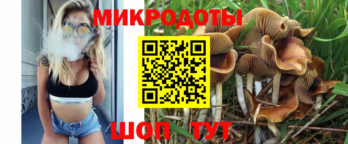 Галлюциногенные грибы Cubensis Ялуторовск