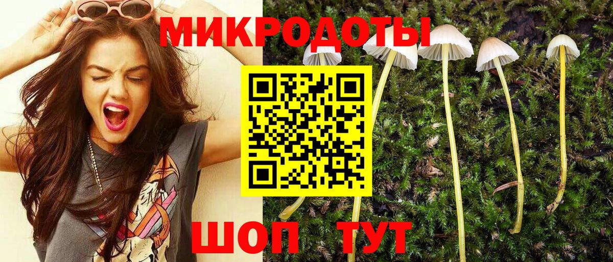 Галлюциногенные грибы GOLDEN TEACHER  Вход с VPN  Ялуторовск  Галлюциногенные грибы Cubensis 